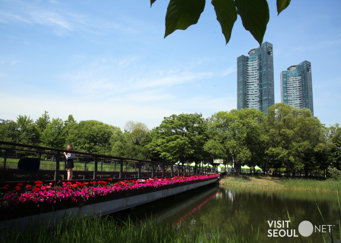 Seoul Forest1 : Panoramic view of the lake in Seoul Forest with flowers
