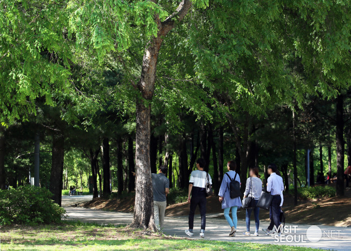 서울숲3 : 서울숲 내 산책길 전경