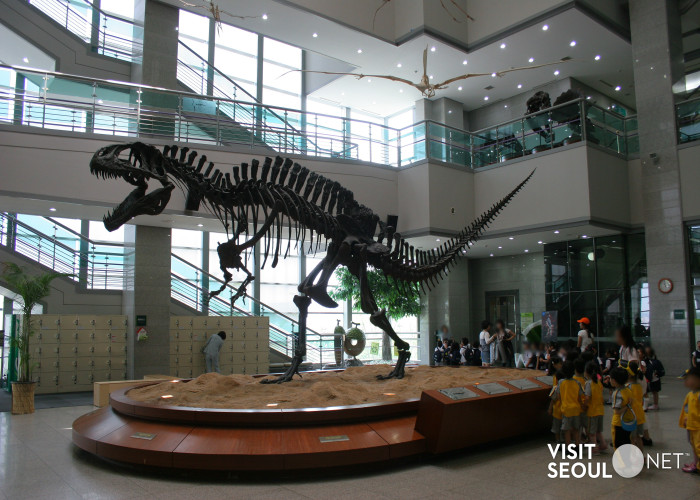 서대문자연사박물관2 : 거대한 공룡 뼈 모형이 중앙에 잔열된 박물관 중앙홀 전경