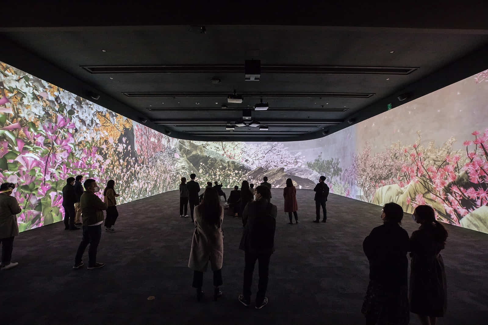 국립중앙박물관5 : 다양한 꽃이 그려진 미디어 아트가 벽 전체를 둘러싼 실내 전시실