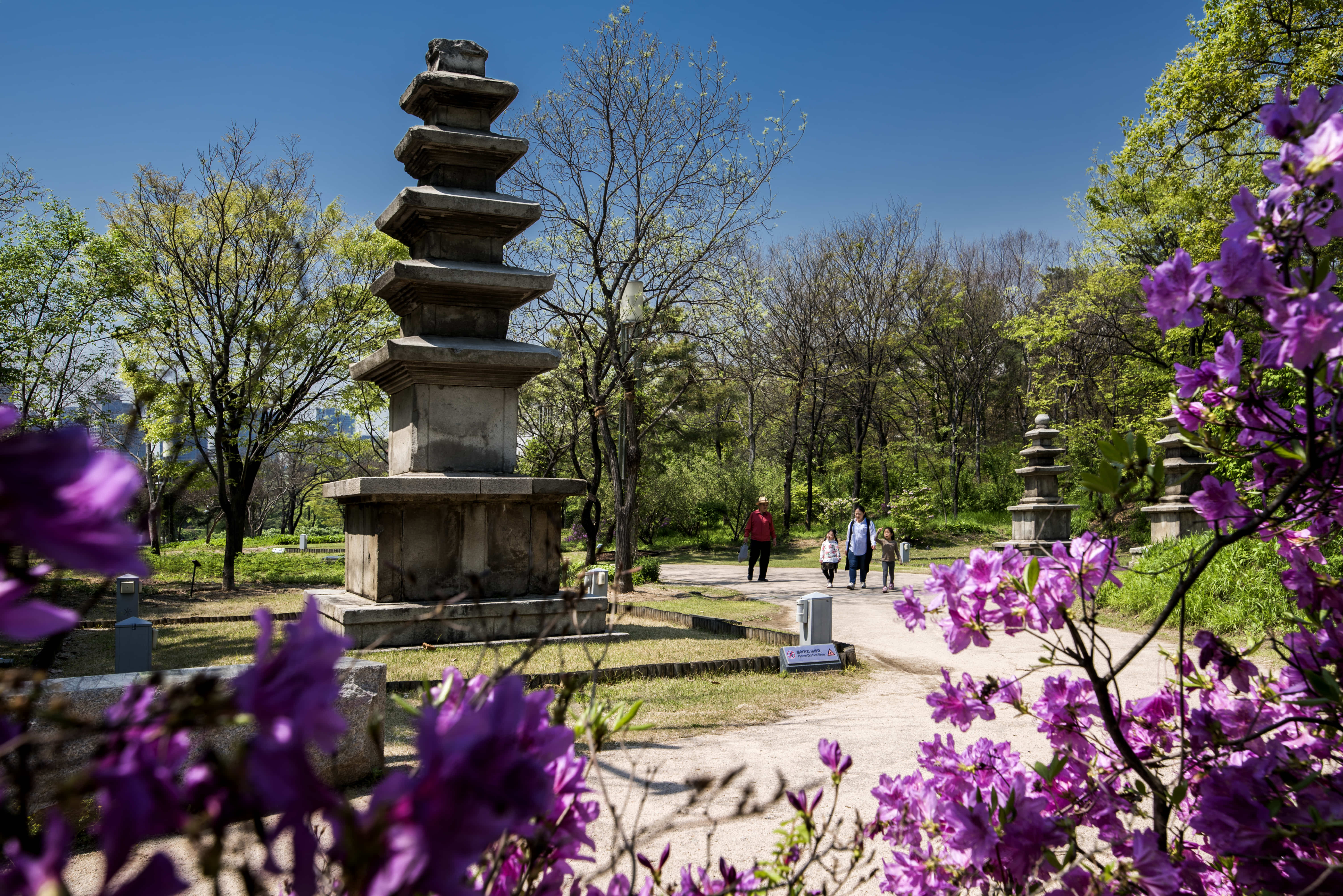 National Museum of Korea4 : Pagoda garden in the National Museum of Korea 
