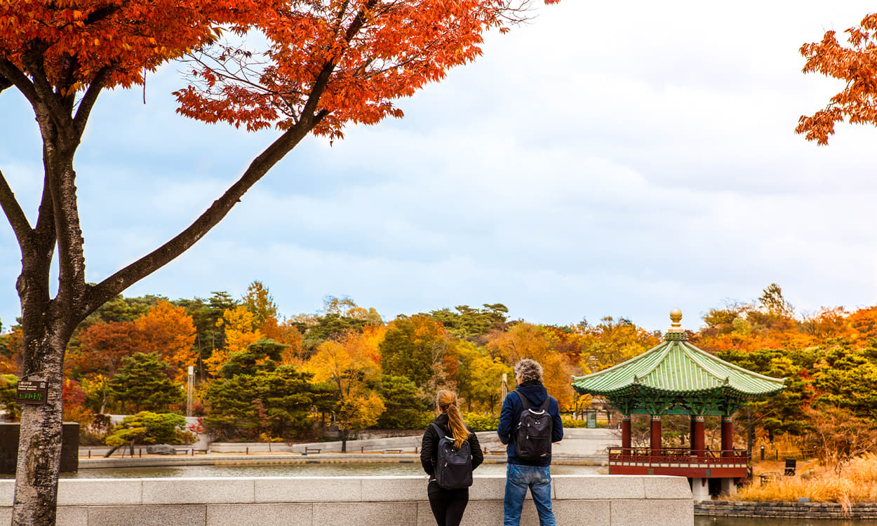 National Museum of Korea3 : Panoramic view of blue roof pavilion and Mirror Pond in autumn
