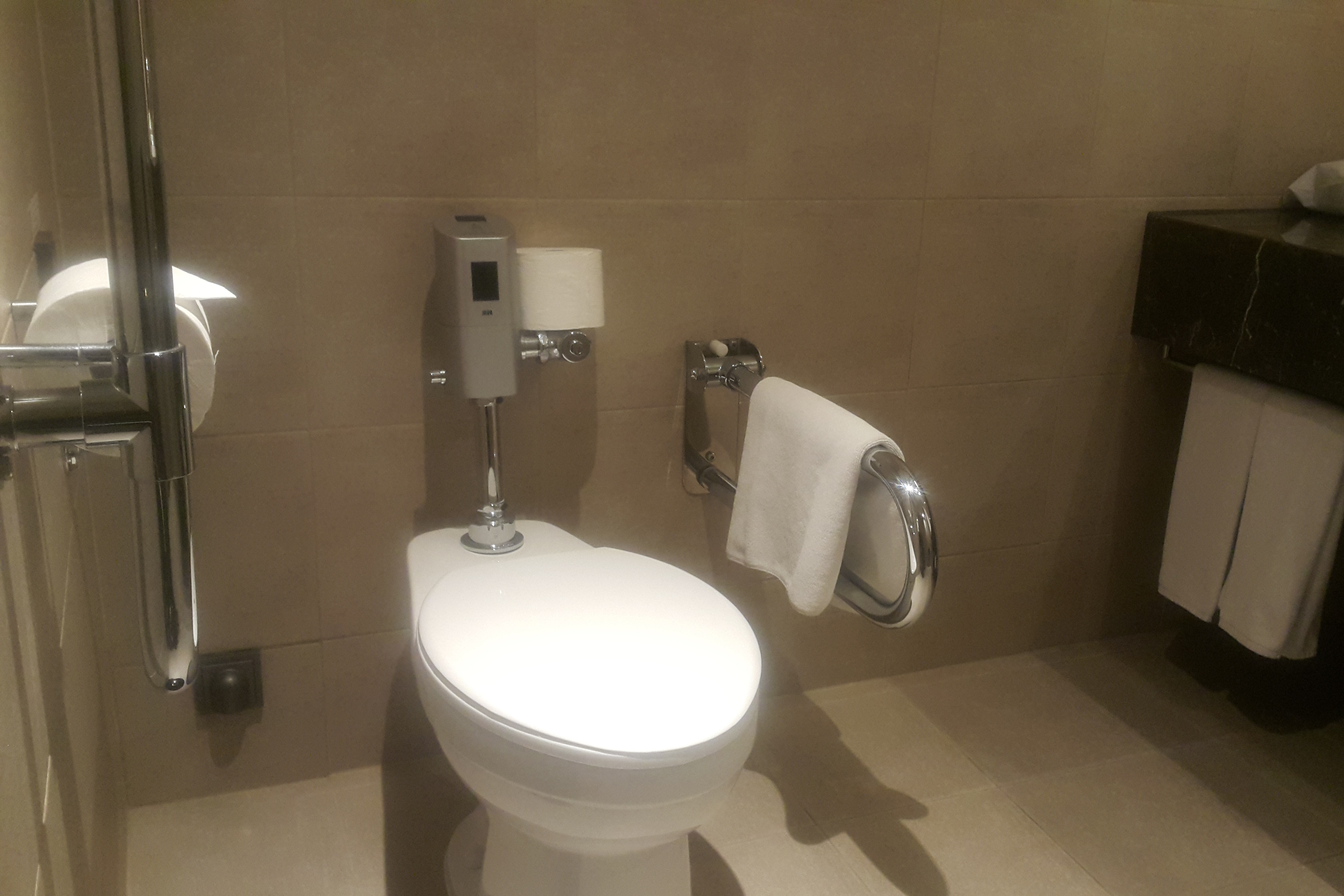 객실 화장실0 : 손잡이가 설치되어 있는 크라운 파크 호텔 서울 객실 화장실 전경