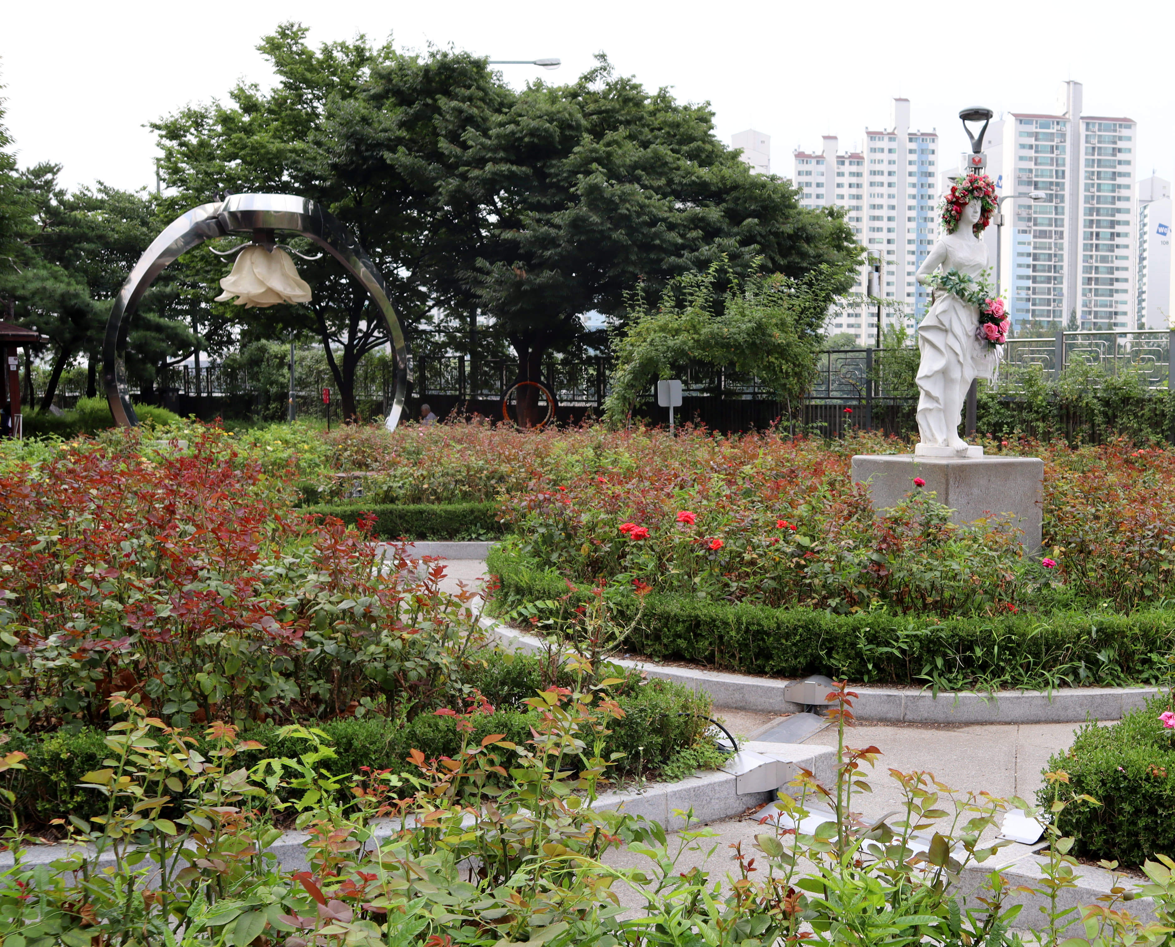 서울장미공원(중랑장미공원)5 : 장미가 피어있는 서울장미공원(중랑장미공원) 외부 산책로 전경