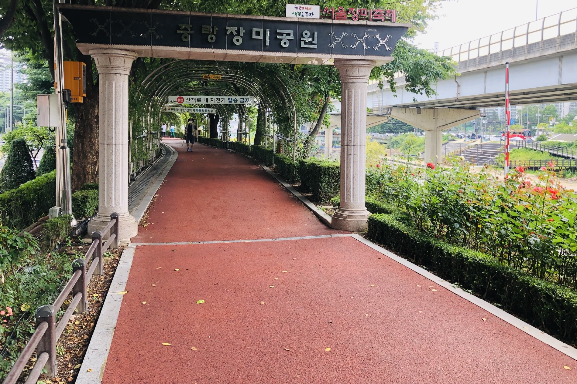 접근로/주출입구0 : 서울장미공원(중랑장미공원) 접근로 전경4