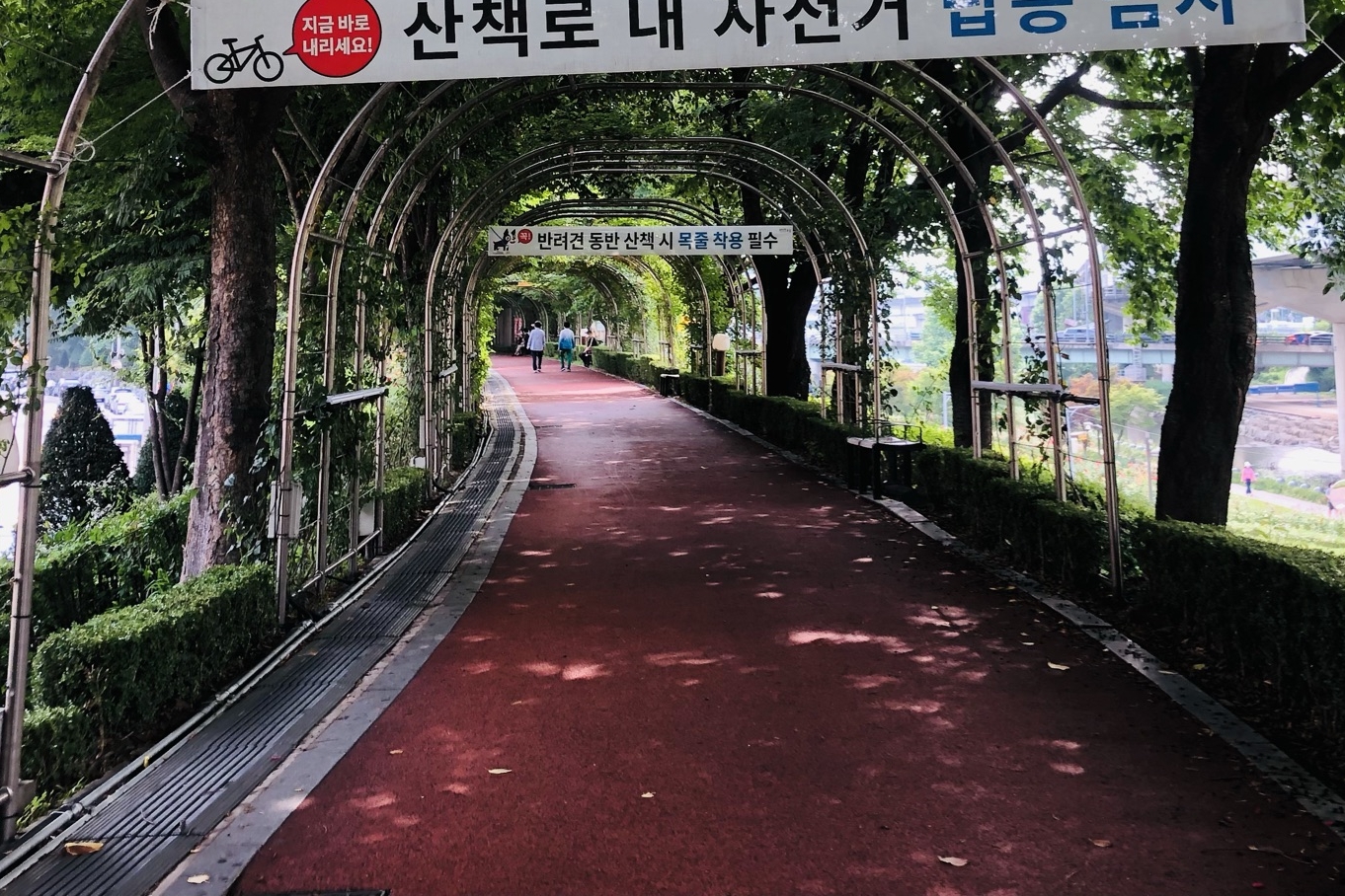 접근로/주출입구0 : 서울장미공원(중랑장미공원) 접근로 전경3
