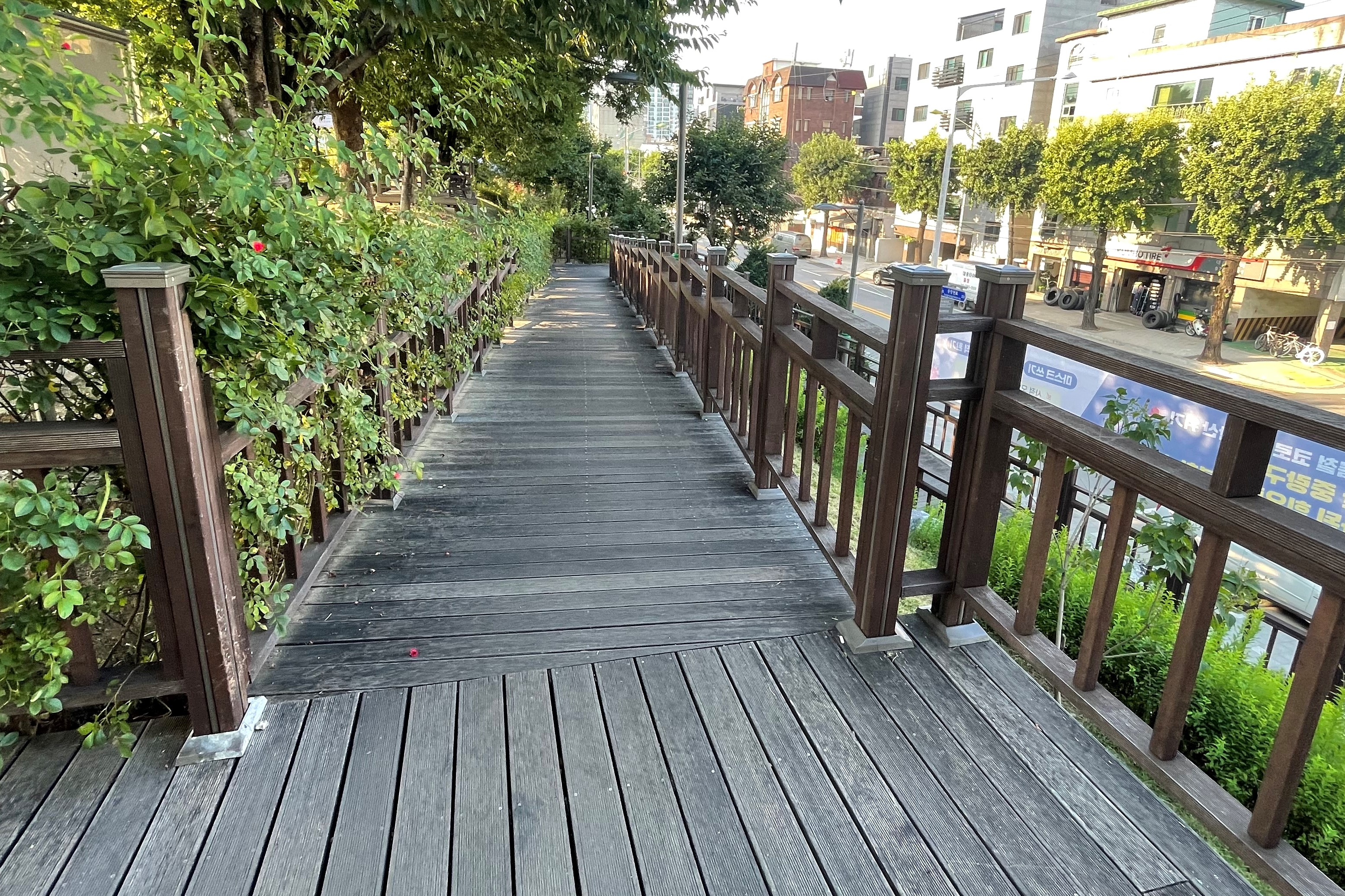 접근로/주출입구0 : 서울장미공원(중랑장미공원) 접근로 전경2