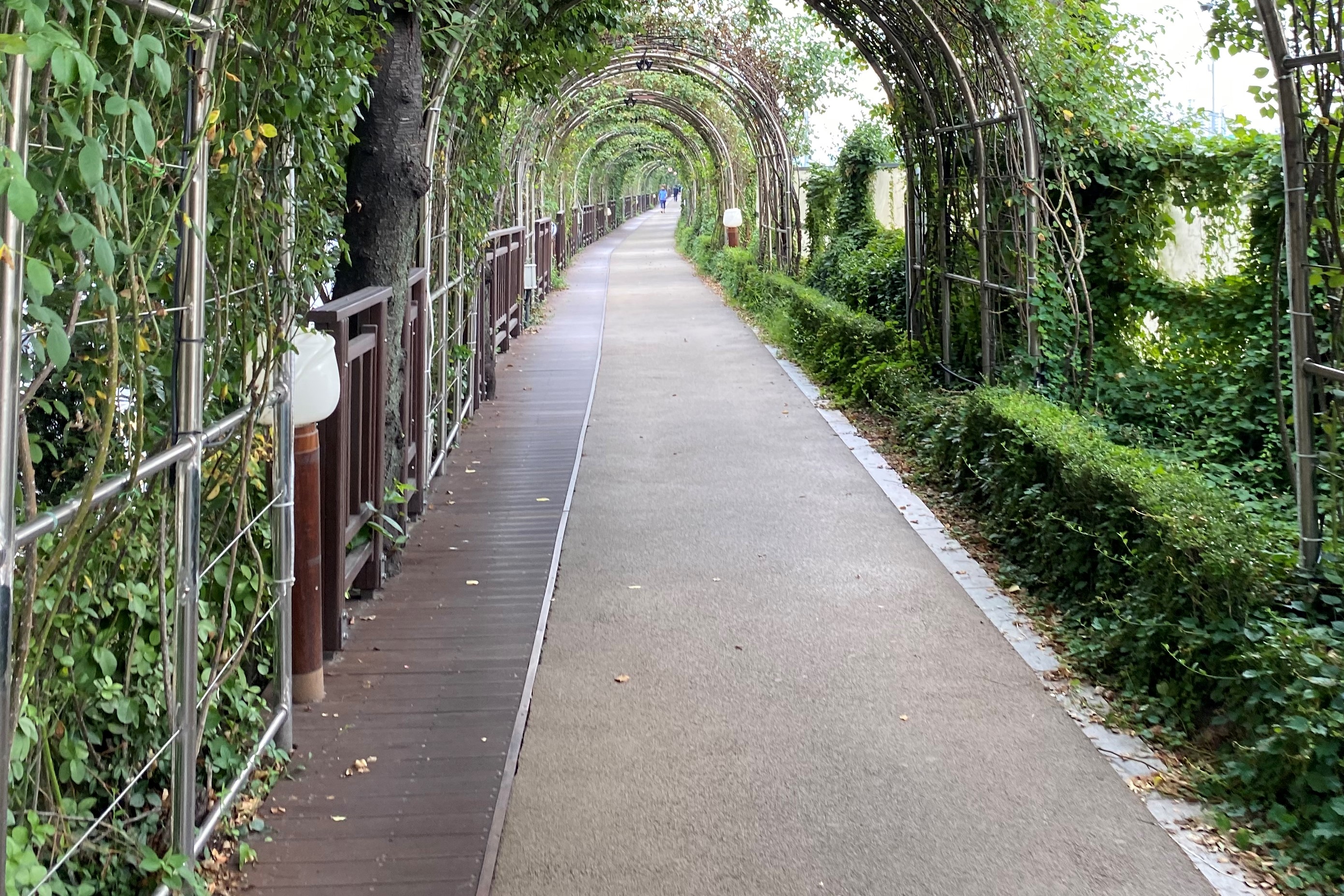 접근로/주출입구0 : 서울장미공원(중랑장미공원) 접근로 전경1