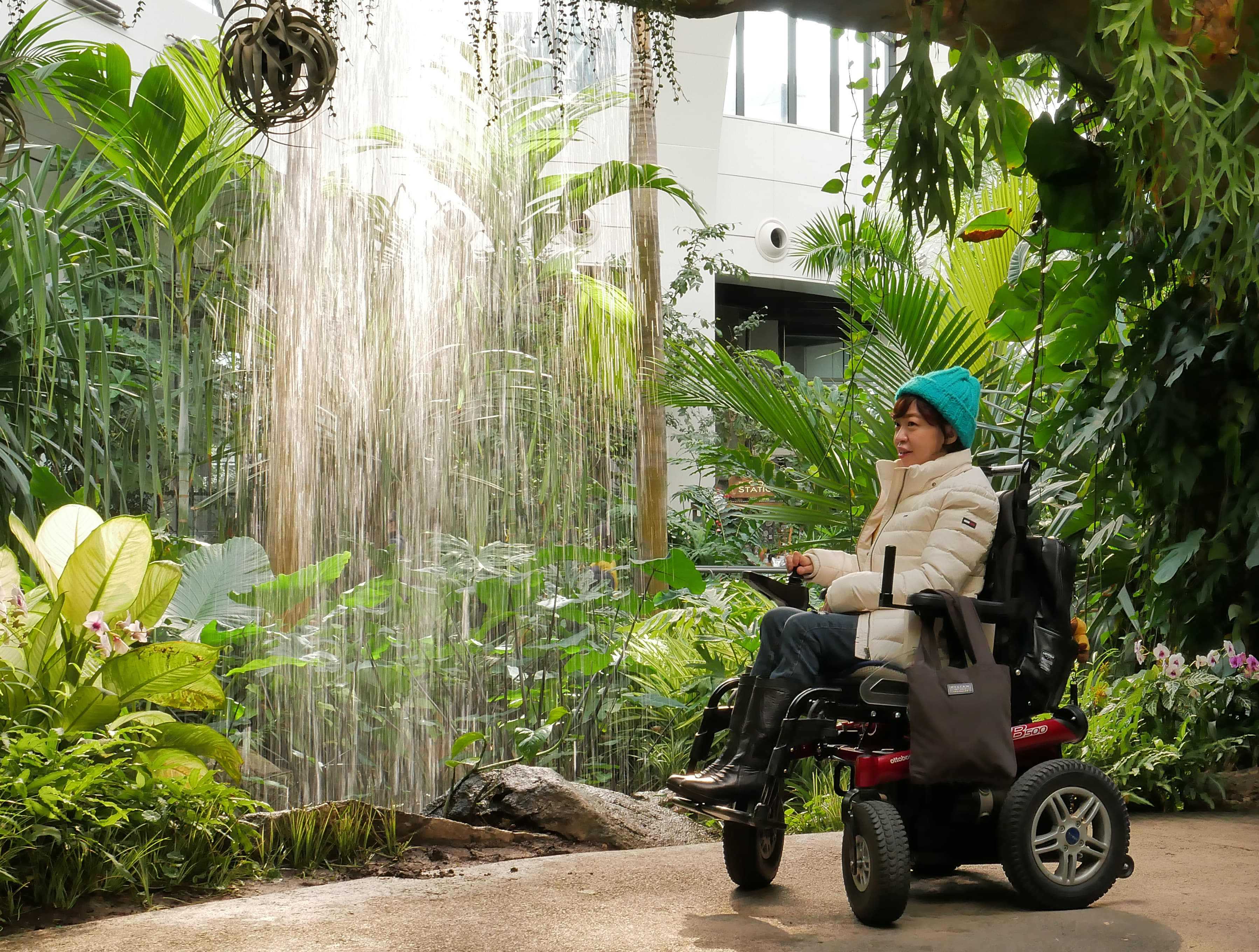 Seoul Botanic Park2 : Interior view of Seoul Botanic Park where wheelchair users can enjoy
