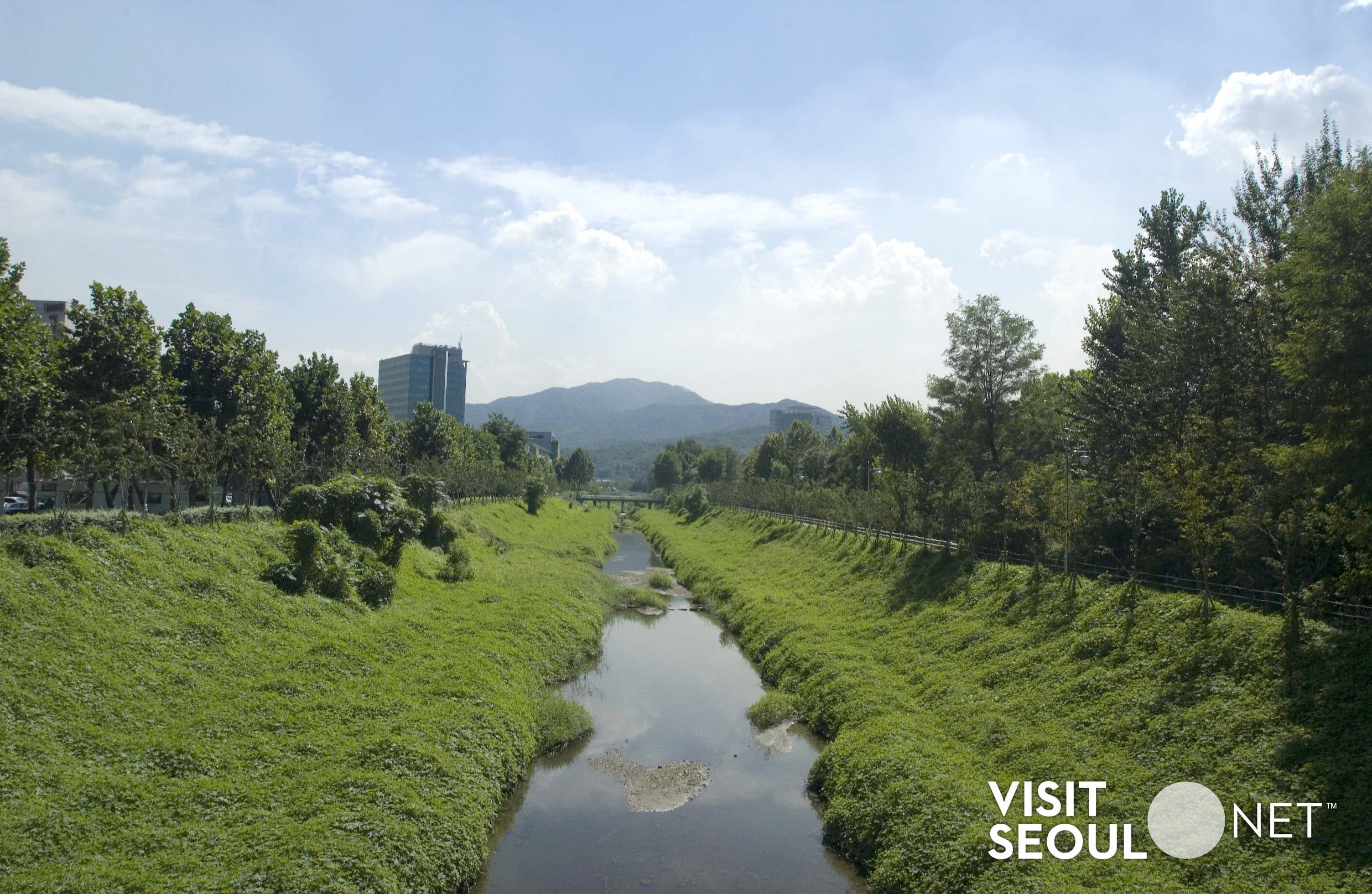 Maeheon Citizen's Forest (Yangjae Citizens' Forest)1 : The forest with grass and trees on both sides of the stream