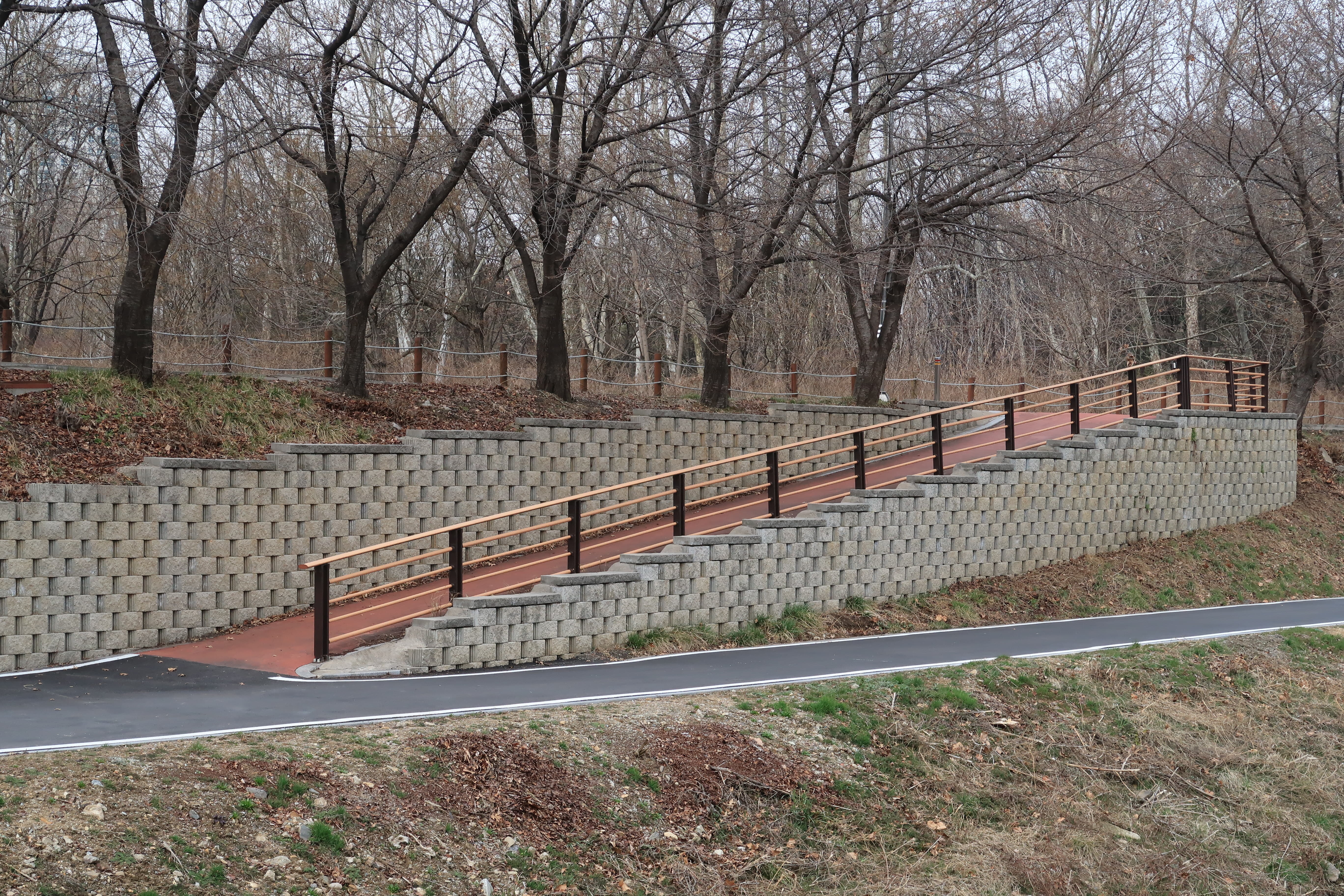 Road surface0 : A inclined walking trail with handrail on the right side