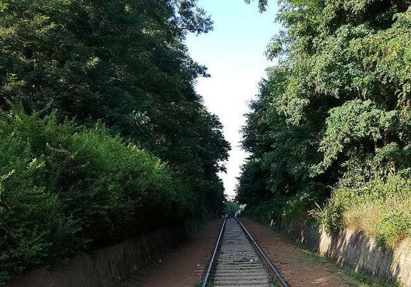 Pureun Arboretum0 : Pureun Arboretum where Hangdong Railway is seen
