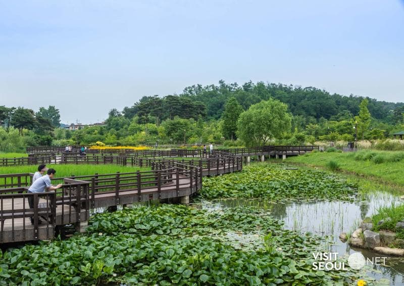 Pureun Arboretum2 : Pureun Arboretum where Hangdong Reservoir is seen
