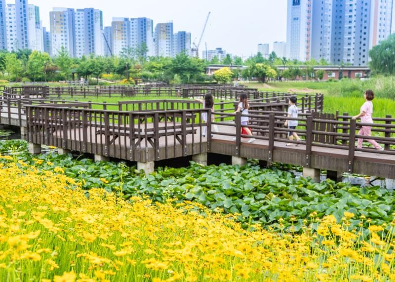 Pureun Arboretum5 : Hangdong Reservoir in Pureun Arboretum where flowers bloomed

