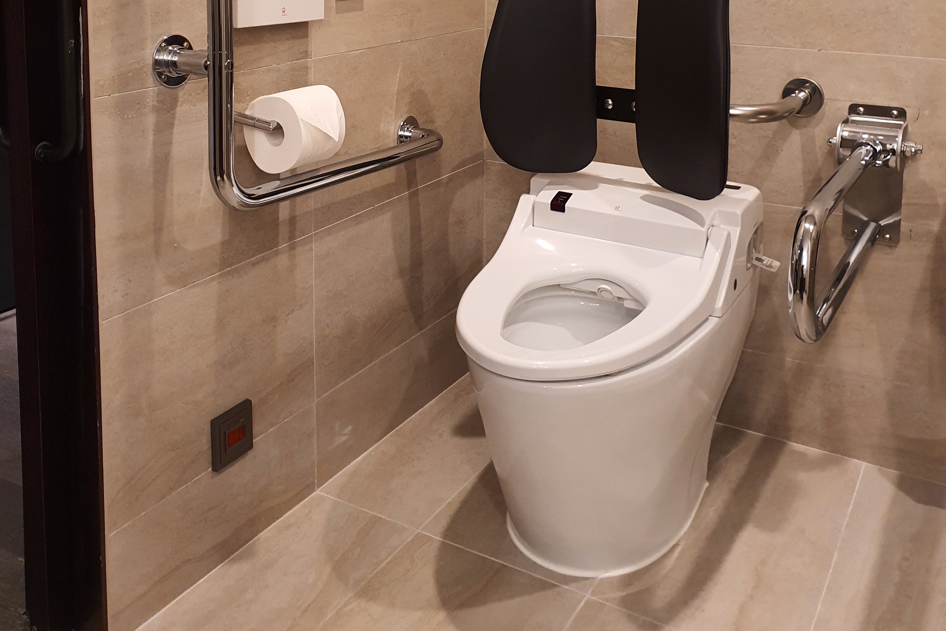 Disabled Rooms.0 : Toilet with grab bars and backrests