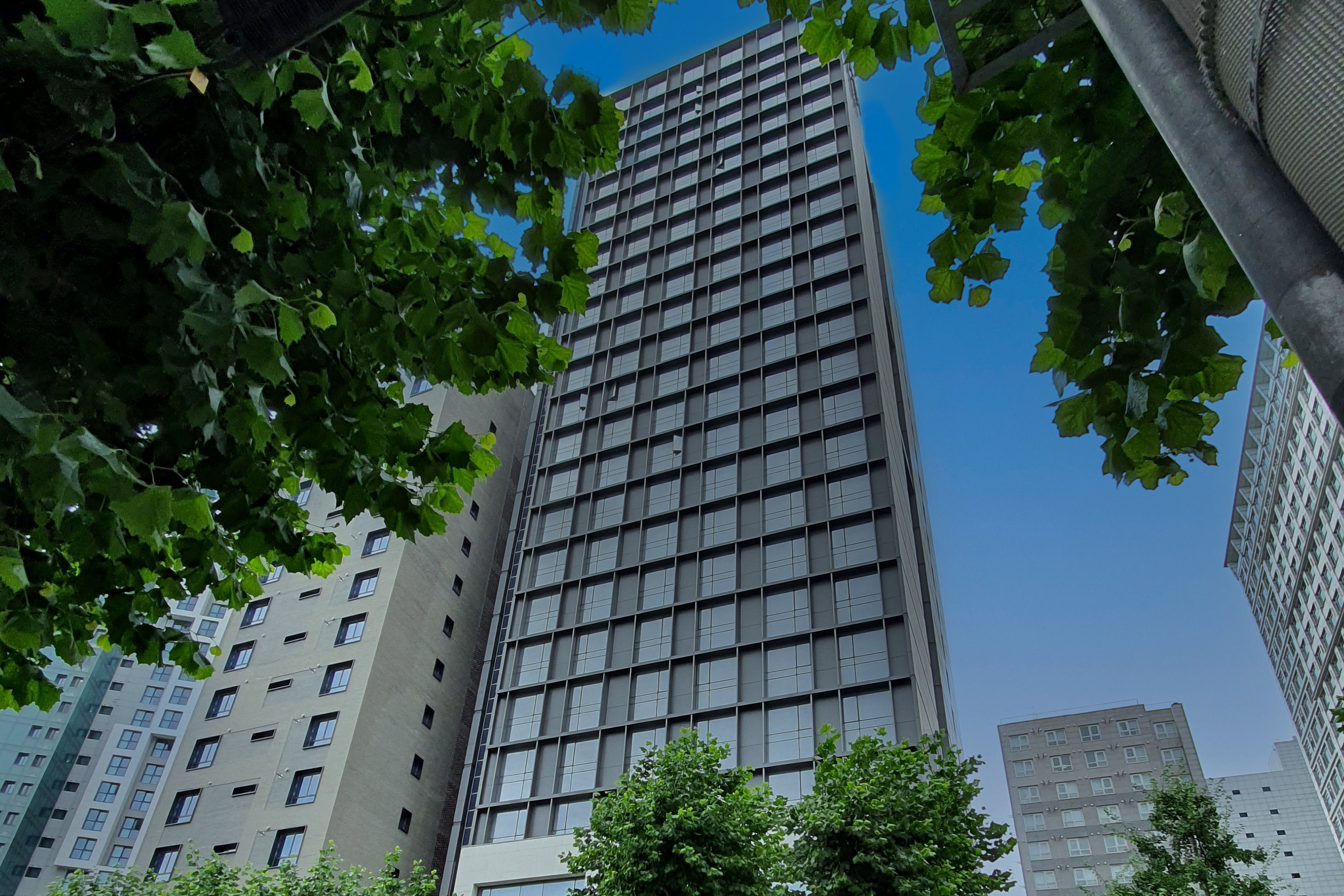 Shilla Stay Seocho0 : Tall hotel building viewed through roadside trees