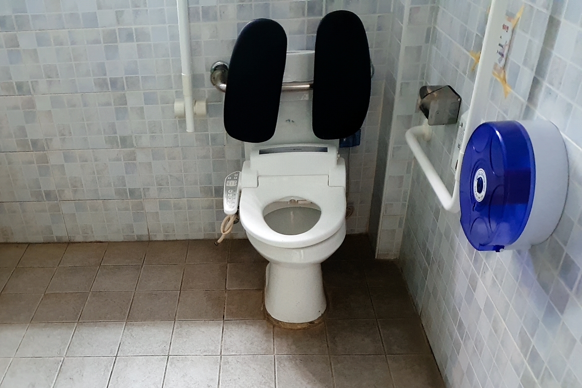 장애인화장실0 : 안전바와 등받이가 설치된 행복플러스 장애인 화장실