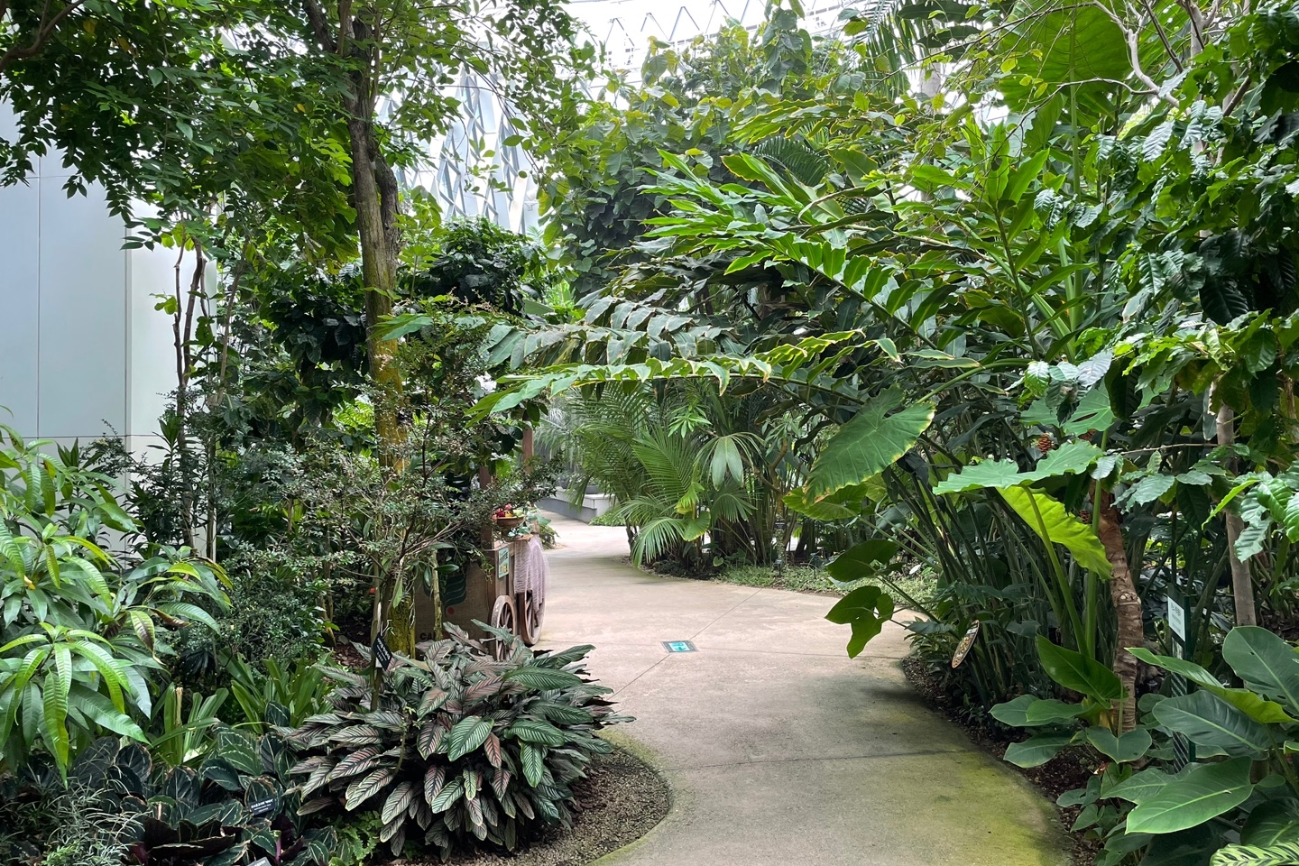 Seoul Botanic Park7 : Walkway inside Seoul Botanic Park
