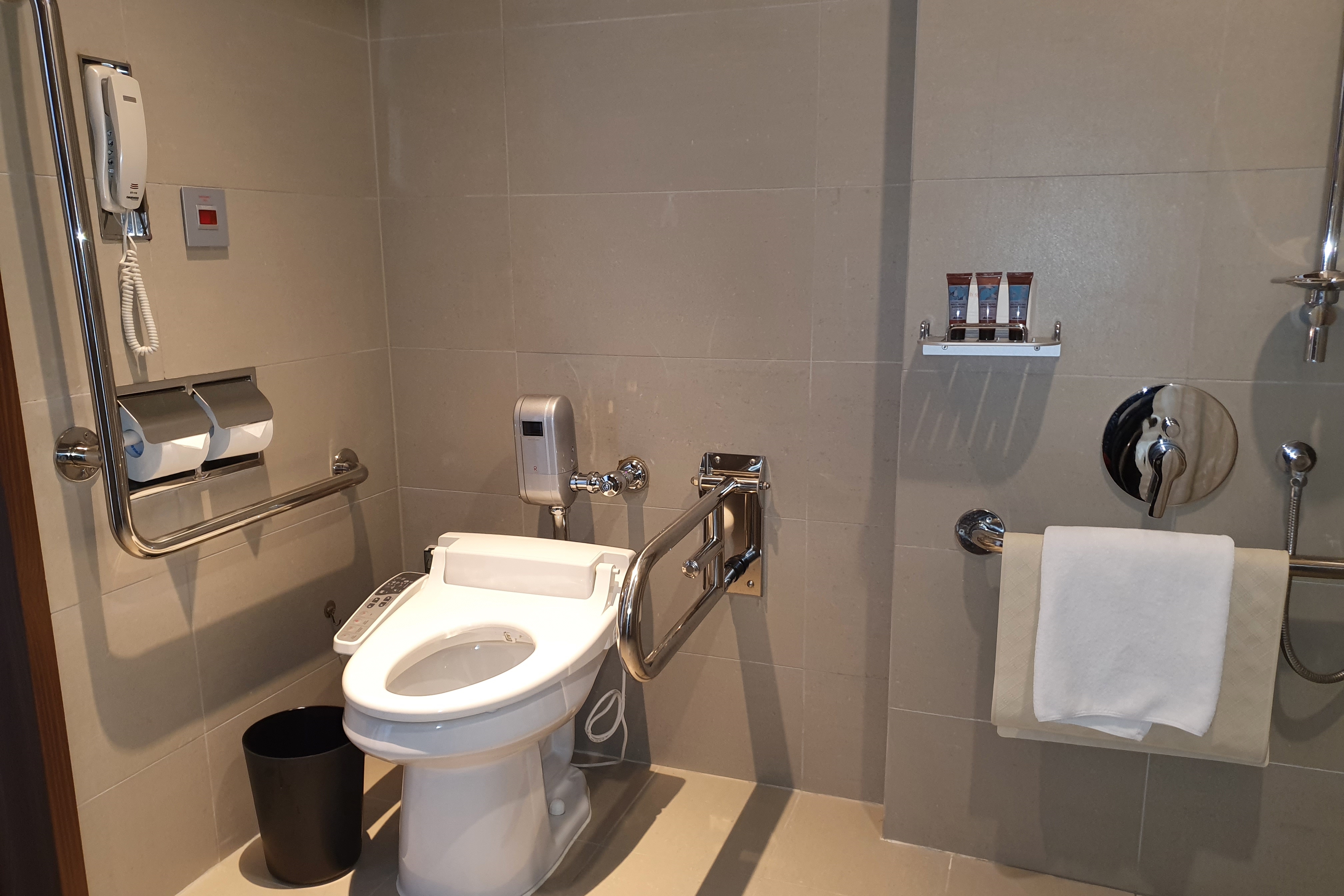 Roll-in shower in the guest room0 : A toilet equipped with grab bars
