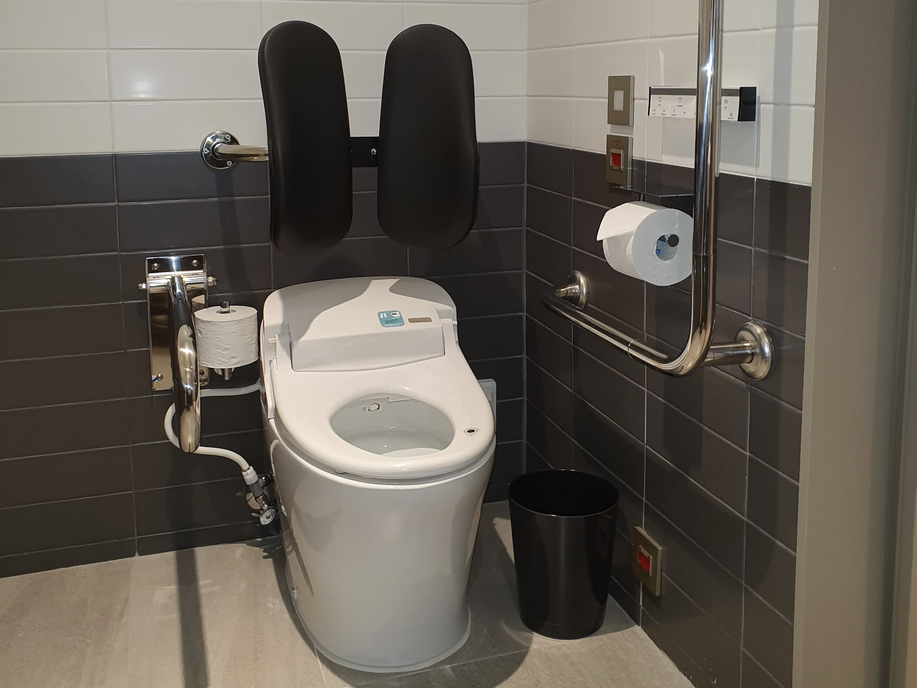 Bathroom0 : Toilet equipped with a backrest and grab bars