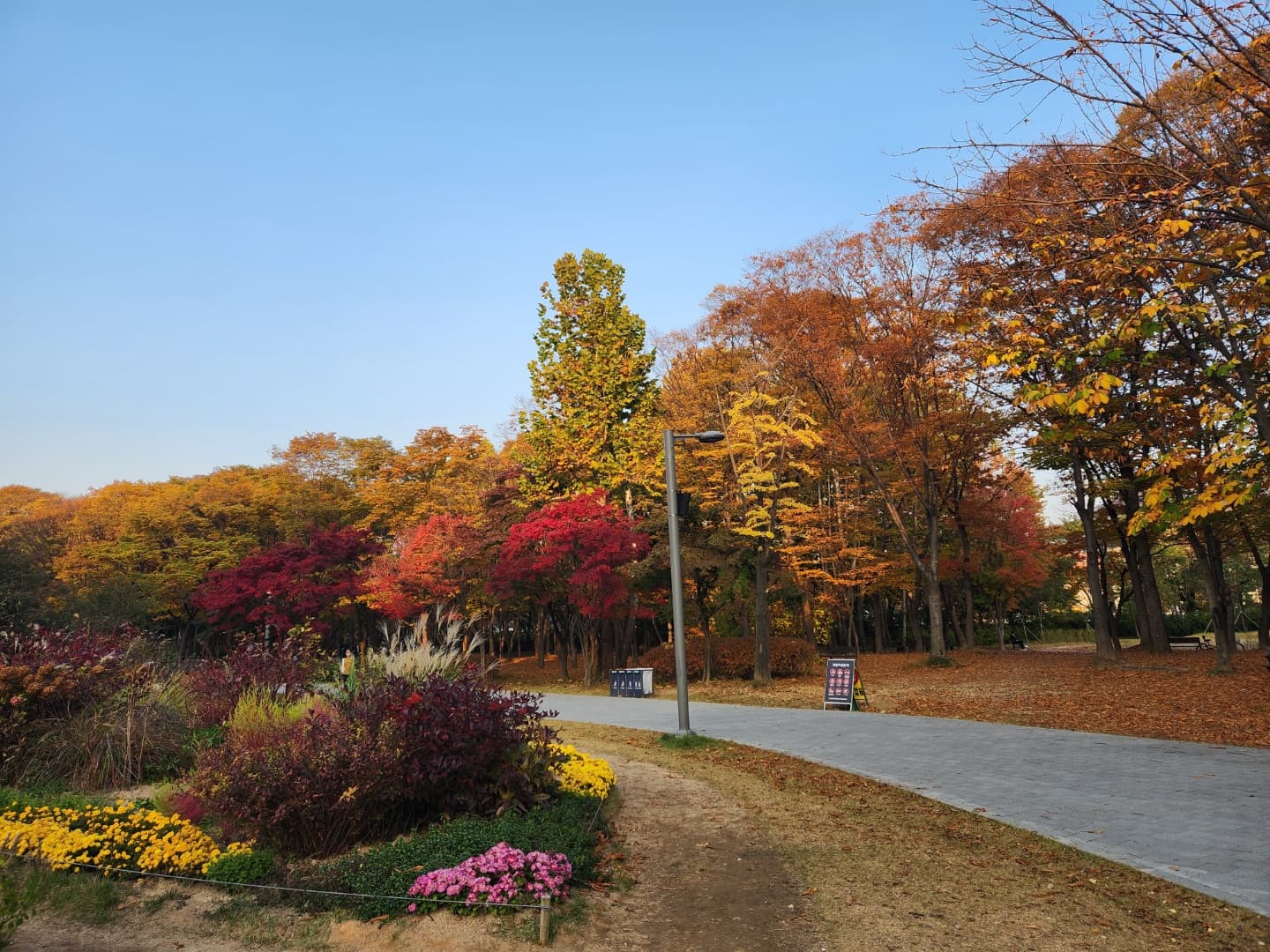 Maeheon Citizen's Forest (Yangjae Citizens' Forest)3 : The scenery of the forest with trees colored with autumn leaves