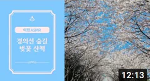 좌측 문구: 여행 ASMR 경의선 숲길 벚꽃 산책
우측 사진: 하늘을 배경으로 보이는 무성한 벚꽃잎 사진