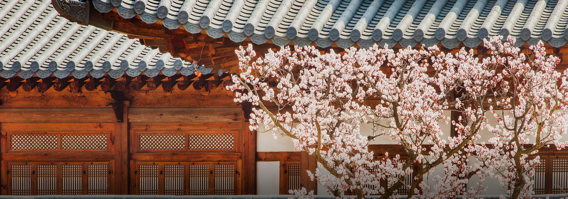 배경 이미지