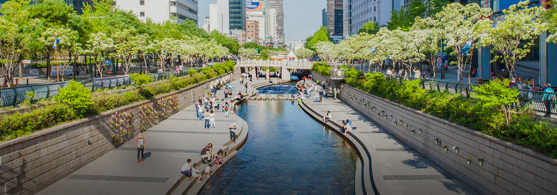 배경이미지